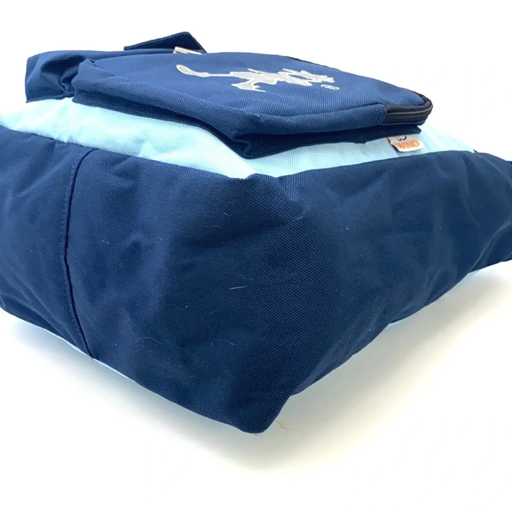 PickWick Unisex Blue Street Wear Urban Cruiser Messenger Bag